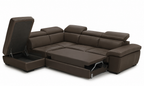 Viola Sectional