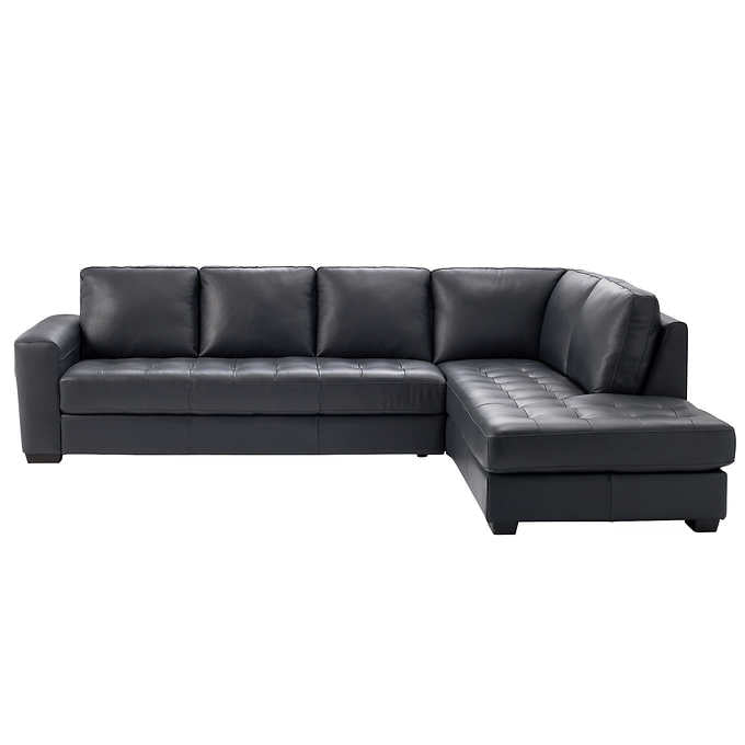 BE7432/BE7361 Modern 2-piece Top Grain Leather Sectional